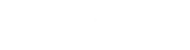 DriveB Fleet